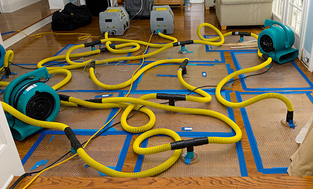 Professional Sewage Cleanup technician working in Vinemont, AL